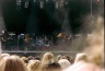 With Full Force 2002-241