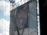 With Full Force 2004-24