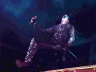 With Full Force 2004-994