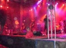 With Full Force 2005-1428