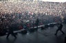 With Full Force 2008-99