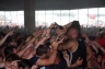With Full Force 2008-276