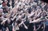 With Full Force 2008-365