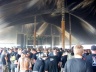 With Full Force 2008-1601