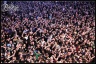 With Full Force 2011-12