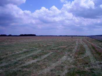 wff2006-0064.jpg